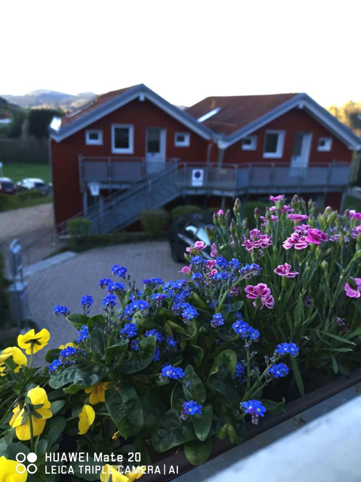 Village Hotel Bayerischer Wald Neukirchen  외부 사진