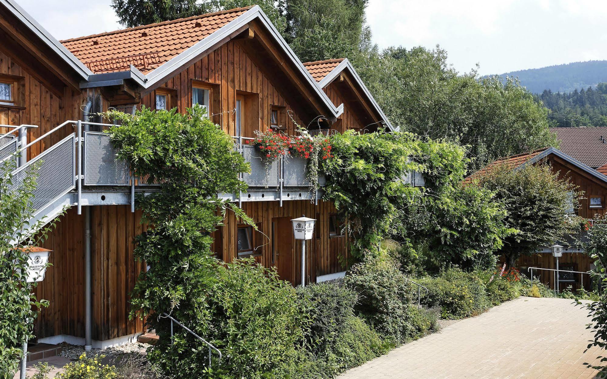 Village Hotel Bayerischer Wald Neukirchen  외부 사진