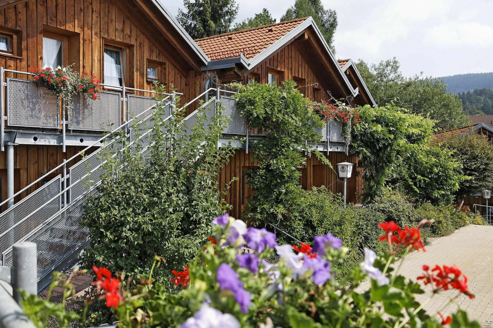 Village Hotel Bayerischer Wald Neukirchen  외부 사진